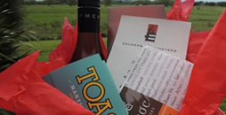 Toast Martinborough: 干杯，马丁堡